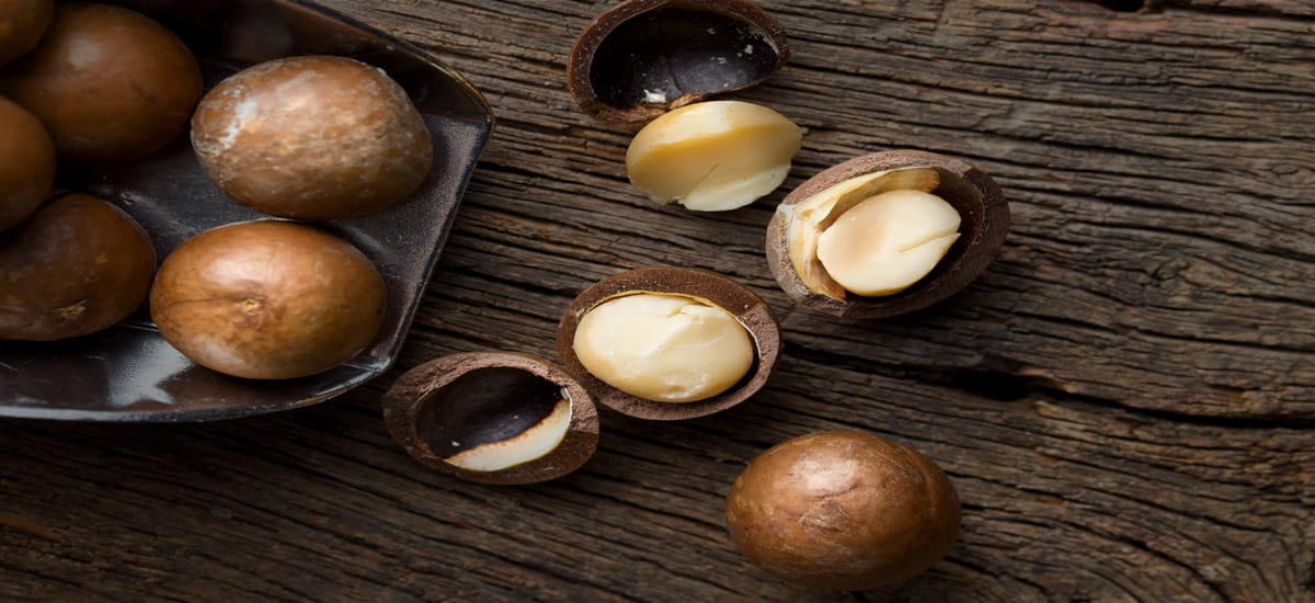 Macadamia Nut Oil | 39